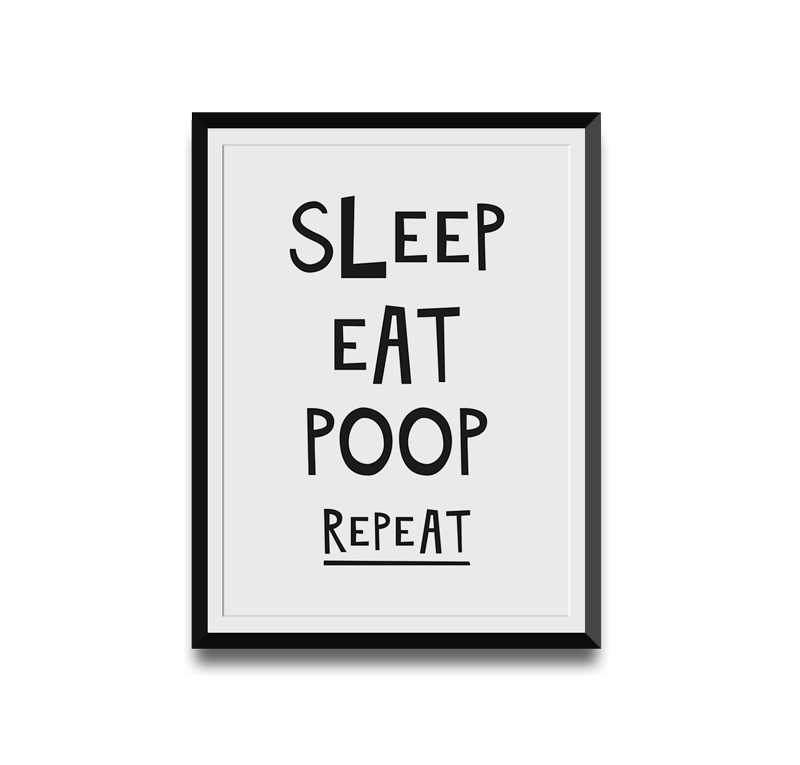 sleep-eat-poop-web-thumb